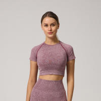 Camiseta De Yoga Sin Costuras Para Mujer Top Corto De Manga Fitness Ropa Deportiva Para Gimnasio Correr Sportswear Polyester Nylon Spandex - details 23