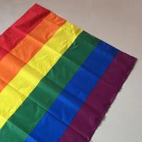 Bandera Arcoíris De Poliéster Para Exterior Grande Banderín De Fiesta LGBT Bandera Colgante De Paz (90x150cm) Para Exterior - details 5