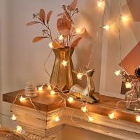 Caja De Batería Para Luces LED En Forma De Rosas 1PC Lámpara De Cadena De Flores Para Fiestas Y Vacaciones De Navidad - details 2