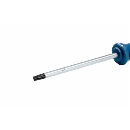 Bosch Professional - Destornillador Torx (punta T40 x 125 mm, acero S2) - 1