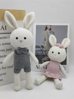 Muñeco De Lana De Conejo Hecho a Mano Juguetes De Peluche Almohada De Cuddle Para Bebés Alivio Del Sueño Pareja De Conejos Tejidos Unisex - details 6