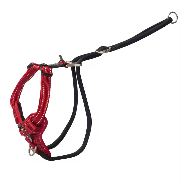 ROGZ ARNES STOP-PULL L  SPSJ06-C - 1