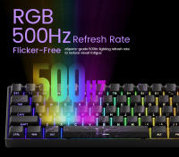 Teclado Mecánico Akko MonsGeek FUN60 Con Interruptores Magnéticos 60% Teclado De Juego Con Disparo Rápido ARGB HE/TMR Personalizable - details 6