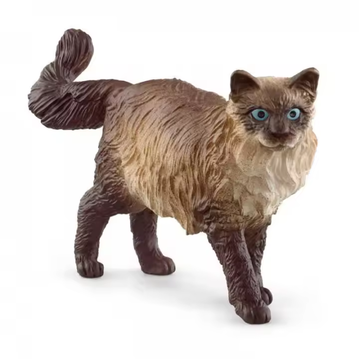 Schleich Gato Ragdoll Figura - Equilibrio Perfecto Suave Pelaje - 1