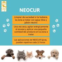 NEOCUR Spray heridas, efecto reparados y de film protector que aisla la piel de Laboratorios Pino. Envase de 210ml. - details 1