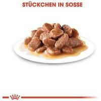 12 x 85 g | Royal Canin Instinctive Gravy | Comida húmeda para gatos adultos | Trocitos en salsa | Para apoyar un estilo de vida saludable - details 2