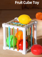 Juguete Interactivo De Colores En Forma De Frutas Cecele Juego Educativo Para La Conocimiento De Colores Y Formas Ideal Para Niños De 7-12m 13-24m 25-36m 4-6y - details 0