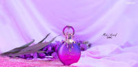 MISS ARMAF CHIC Eau de Parfum para Mujer 100 ML - details 0