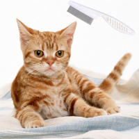 Peine Para Mascotas Eliminación De Pulgas Cepillo De Pelo Para Gatos Y Perros Herramientas De Aseo Accesorios Para Mascotas Material Acero Inoxidable Y Plástico - details 2