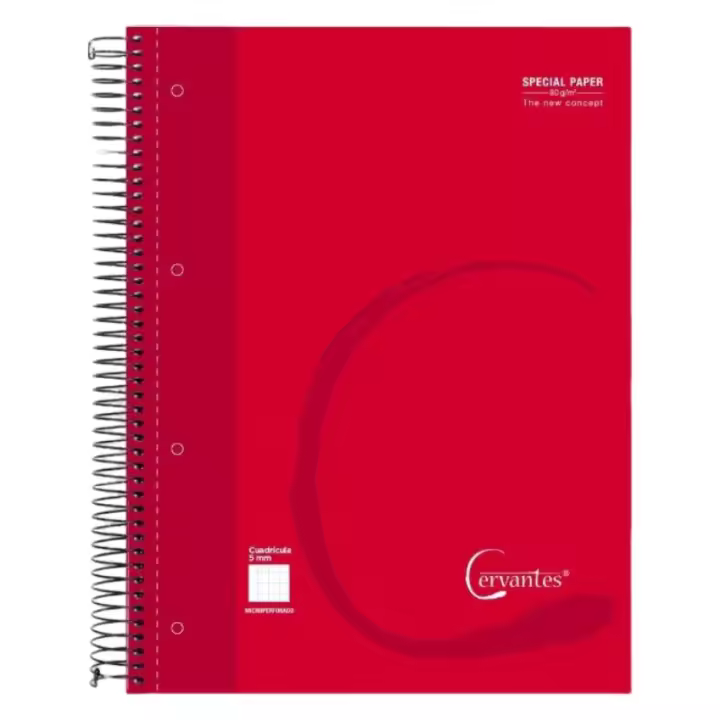 LILI HOME Pack de 2 Libretas de Tapa Dura o Tapa PP Cuadriculadas de 5 mm A4 21 x 29.7 cm 120 hojas por libreta 90 g/m² Clasificadas por 4 colores en el borde de cada hoja para una fácil identificación y organización. - 1