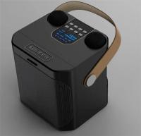 Altavoz Subwoofer de Karaoke con Microfono Doble, Bluetooth, 100W, Cambiador de Voz - details 18