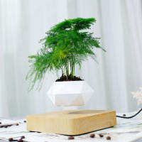 Maceta Flotante Magnética Levitación Para Plantas Sin Tierra Maceta De Rotación Para Decoración Del Hogar Con Diseño De Bonsái - details 5