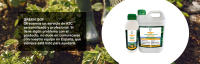 GREEN GOF Enraizante Líquido Orgánico con Hormonas Naturales, 5L. Estimula y Aumenta el Crecimiento de Las raíces de Cualquier Planta. Recomendado para Esquejes, Árboles, Plantas y Transplantes. - details 2
