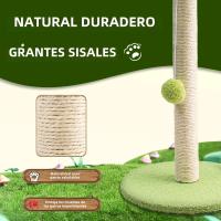 Juguete Interactivo Para Gatos Poste De Subida Duradero Con Pelota De Madera Y Tablero De Rasguño Para Divertir Y Ejercitar a Su Mascota - details 4