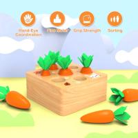 Juguetes para bebés 12 meses Juguetes de Madera Bebe Sensorial Zanahoria Clasificación Juguete Niños Pequeños Juguetes Educativos para 1 2 3 años Niños, Bebés - details 3
