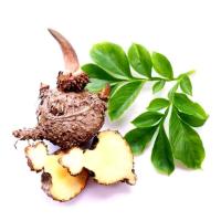 Apetiblock Naturkea: Saciante Natural que Reduce el Apetito y Acelera la Perdida de Peso con Glucomanano,Nopal, 60 capsulas - details 1