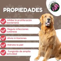 Armi Champú PROTEDERM Antibacteriano Perro - Gato 225 Ml - details 2