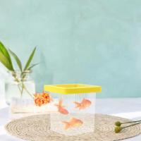 Caja De Cría De Peces Para Acuario Durable Incubador Transparente Para Guppys Y Cangrejos Caja De Isolación Para Pequeños Peces Y Alevines - details 2