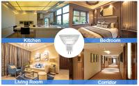 Bombilla Halógena MR16 12V 35W Base Luz Cálida Proyector Socket Cup Para Iluminación De Jardín Y Ambientes Internos - details 13