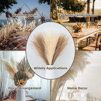 10PCS Pampas Artificial 55CM Decoración Bohemia Para Fiesta De Boda Casa Y Jardín Flores Silvestres Sintéticas Para Decoración Interior - details 4