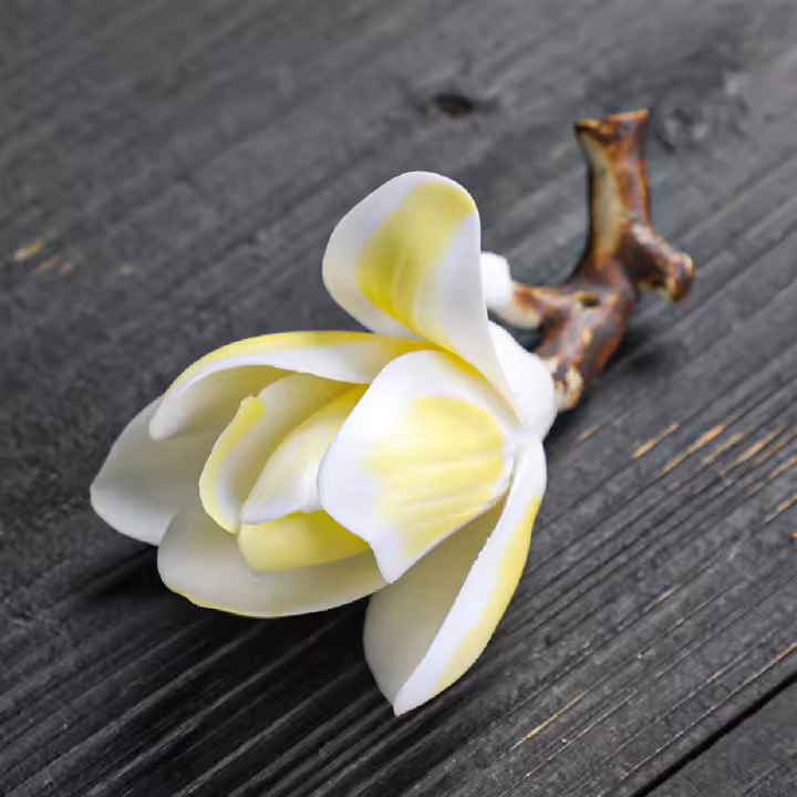 Soporte De Incienso De Magnolia Hecho a Mano En Cerámica Elegante Decoración Para El Hogar Uso Con Incienso De Palillo - 1