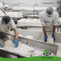 Queso Tierno Puro de Cabra: Delicadeza Montañesa. Textura Sedosa, Matices Profundos. Sumérgete en la Tradición Láctea de Alta Montaña para Descubrir un Sabor Auténtico. 750Gr Aprox - details 0