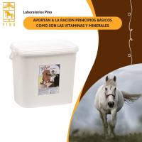 POLVOS PINO VITAMINADOS, ración de vitaminas y minerales para grandes animales de Laboratorios Pino. - details 2