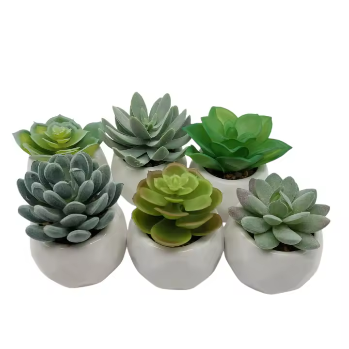 Set 6 Mini Plantas Decorativas 8x9 cm Artificiales | Macetas Realistas para Interior, Regalo y Estilo Natural - 1