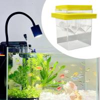 Caja De Cría Y Aislamiento Para Peces Acuario Incubador De Recién Nacidos Accesorio De Repositorio De Alimentos Para Acuario - details 6