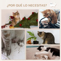 PawHut Estantes para Gatos de Pared 3 Piezas Juego de Estantes Escalada para Gatos con Caseta Hamaca Plataformas y Poste de Sisal Roble - details 3