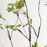 Planta Artificial De 110CM Con Hojas De Otoño Ramas Muertas Y Vines Para Decoración De Hogar Boda Hotel Disposición Fotografía Proporciones Amarillas Verdes Burgundy - details 9