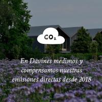 Davines Alchemic Shampoo Silver / Champú matizador violeta para rubios fríos, platinos y canas - Realza reflejos, aporta brillo e hidratación. - details 2