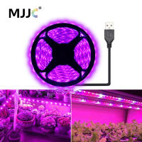 Luz De Crecimiento LED USB 5V 2835 Para Plantas Completo Espectro Lámpara De Cinta Para Vegetal Flor Estufa Cultivo 1M 2M 3M 4M 5M - details 0