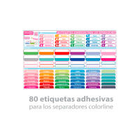 Office Box Pack 10 Separadores XTRA A4 BLUSH Colores Pastel con Bolsillo y Etiquetas Adhesivas - details 1