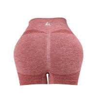 Shorts De Verano Para Mujer Cintura Alta Yoga Workout Leggings Scrunch Butt Elastic Casual Deporte Fitness Sin Costuras - details 18