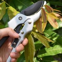 Tijeras de Podar para Manos débiles para Mujeres Hombres Tijeras de Jardín de podadora de mano - details 2