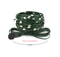 Cadena De Luces LED De Cuero Verde 24V Impermeable Para Exterior Decoración De Jardín Y Festivales 10M-100M Transformador 110V 220V - details 1