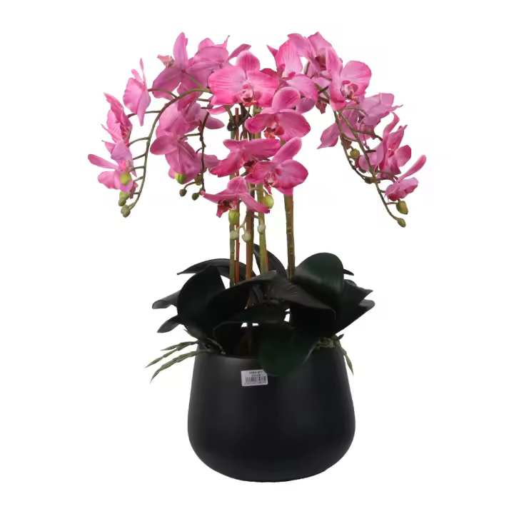 Poenia - Orquideas Artificial en Maceta 53cm - 5 Orquideas - Musgo Natural en su Interior - REF ORQ53 - Alta Calidad - Tacto Real - Decoración Realista - Decoración Duradera - 1