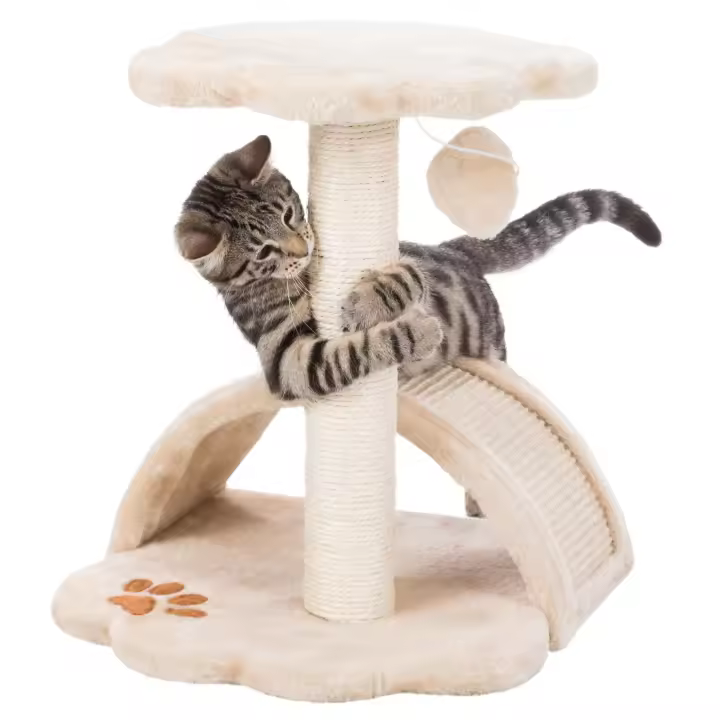 TRIXIE Junior Poste Rascador Vitoria beige/natural - 1