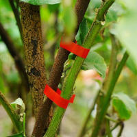 Máquina De Atado De Jardín Herramienta Para Ramas De Plantas Cinta De Tapa Para Uvas Tomates Pepinos Pimientos Flores - details 9