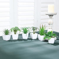 Juego De Macetas De Plástico Evergreen Para Decoración De Escritorio Y Oficina Estilo Suculentas Sin Mantenimiento Realista - details 27