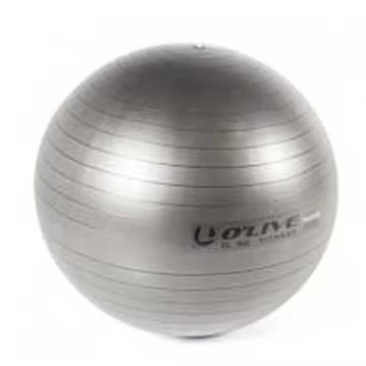 Material fitness Fitballs Olive Fitball Fitness Gris - 1