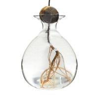 Kit De Crecimiento De Semillas De Agarrope Vaso De Vidrio Transparente Para Cultivo De Semillas Regalo Para Amantes Del Jardín Decoración Del Hogar Estilo Moderno - details 10