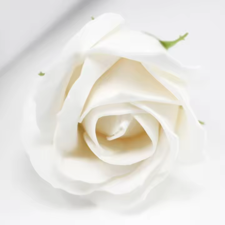Flor de manualidades deco mediana - Blanca - Jabón - 1