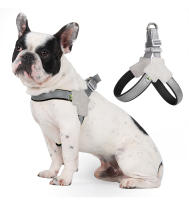 Harnés Veraniego Para Perros Y Gatos Pequeños Y Medianos Con Correa De Pecho Transpirable Sin Pull Para Viajes Y Caminatas Adecuado Para Franceses Bulldog Accesorios Para Mascotas - details 12