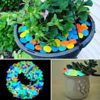 100pcs Piedras Luminosas Para Jardín Decorativas Brilla En La Oscuridad Accesorios Para Acuario Piedras De Decoración Para Piscinas Y Jardines - details 5