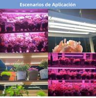 Lámpara De Cultivo Interior LED De Espectro Completo Para Plantas 220V Iluminación Para Verduras En Macetas Frutas Y Suculentas En Estufa - details 10