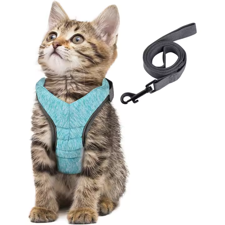 Arnés para gatos, arnés para perros pequeños y cachorros, arnés ajustable para gatitos, chaleco de seguridad transpirable con amortiguación para caminar y antiescape, para gatos, cachorros y conejos (verde-L) - - 1