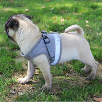 Juego De Arnes De Malla Para Perros Pequeños Y Gatos Accesorios De Entrenamiento Transpirables Para Bulldog Pug Cachorro Correa Respirable De Vínculo - details 2