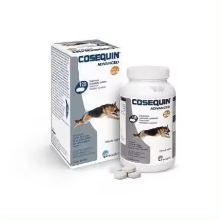 ECUPHAR AC COSEQUIN ADVANCE MSM HA 120CPD - 1